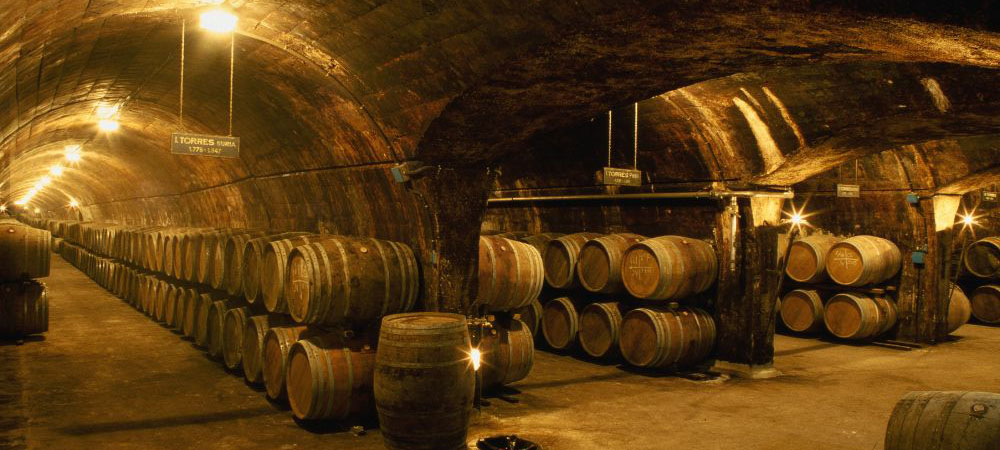 One Night Wine & Dine Event with TORRESスペインの名門トーレスを味わう、一夜限りのワインディナー